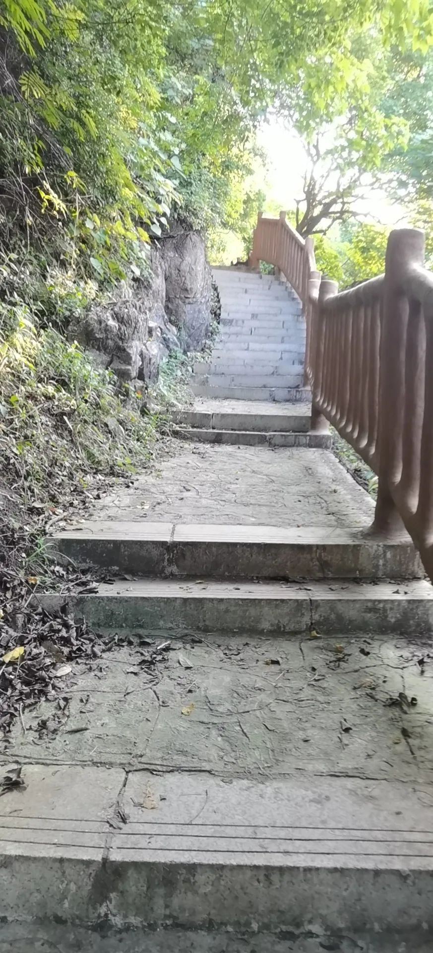 DƬ